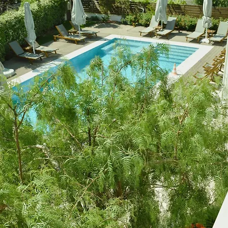 Alegria Apartament *