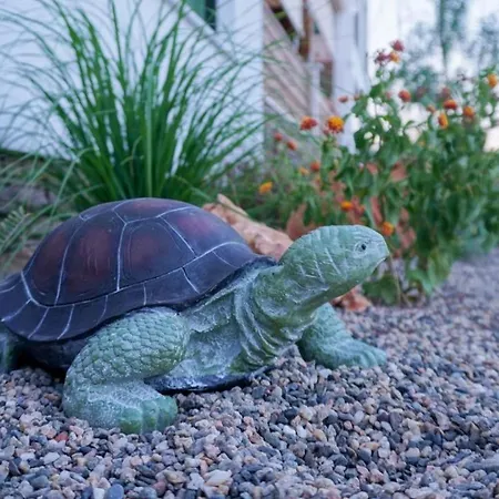 Alegria * Nikiti (Sithonia)