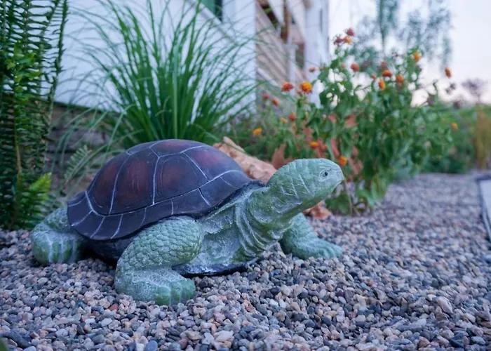 Alegria * Nikiti (Sithonia)